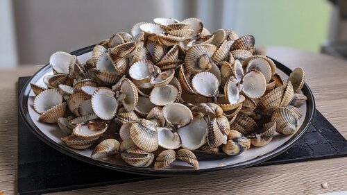 Transcript – Episode 014 – CLAMS